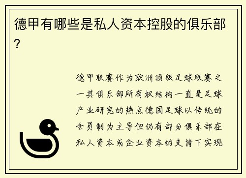 德甲有哪些是私人资本控股的俱乐部？
